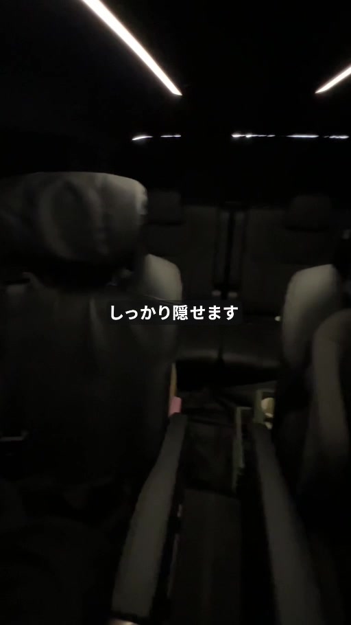 全窓サンシェード装着後の暗くなった40系アルファードの車内